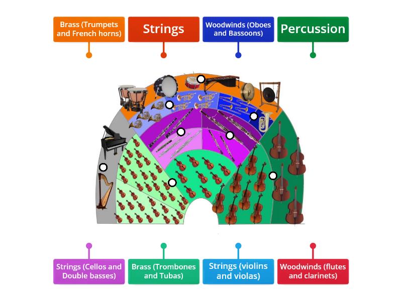 Sections Of The Orchestra Diagrama Con Etiquetas