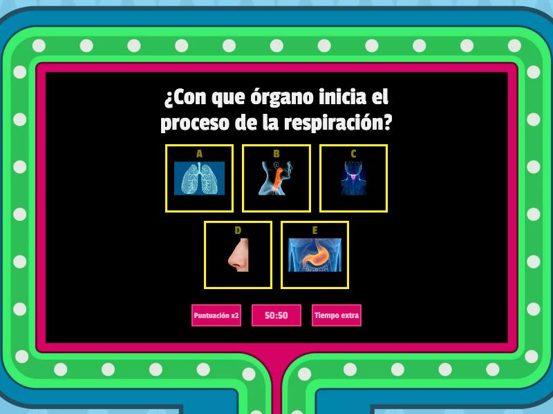 SISTEMA RESPIRATORIO Gameshow Quiz