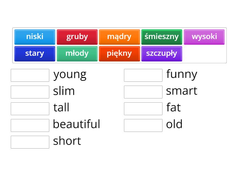 Przymiotniki Match Up