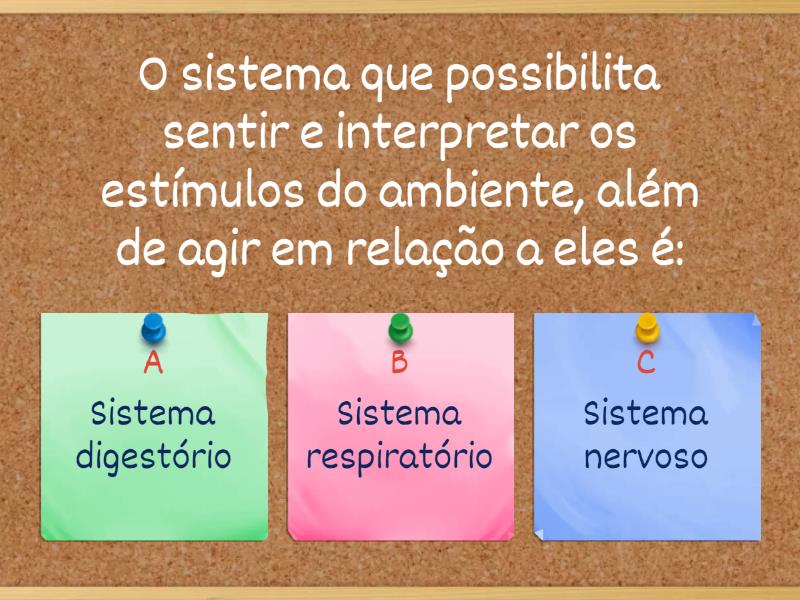 Sistema Nervoso E Sentidos Quiz