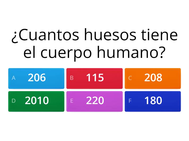 Huesos Del Cuerpo Humano Quiz