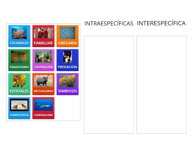 Interacciones Ecol Gicas Relaciones Ordenar Por Grupo