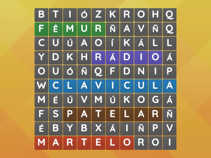 Ossos Do Corpo Humano Wordsearch