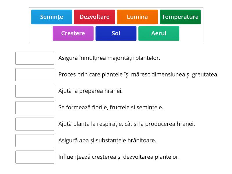 Plantele Clasa A III A Match Up