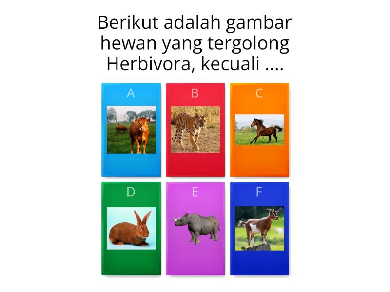 Golongan Hewan Berdasarkan Jenis Makanannya Quiz