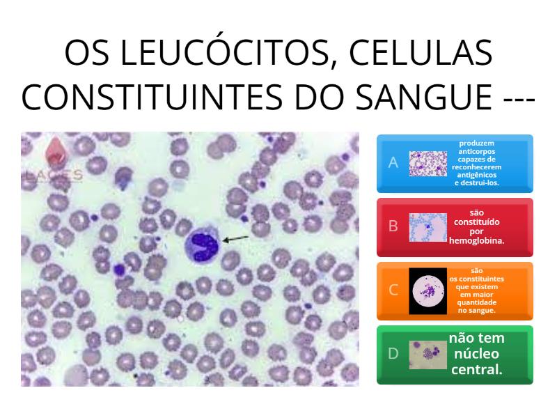 SISTEMA CARDIOVASCULAR O SANGUE Quiz