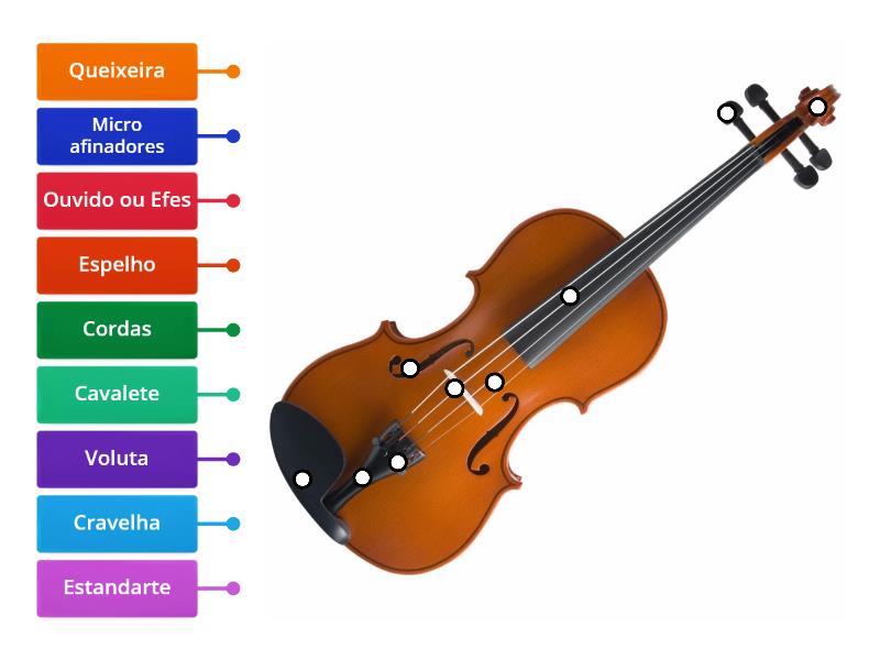 Partes Do Violino Diagrama Con Etiquetas