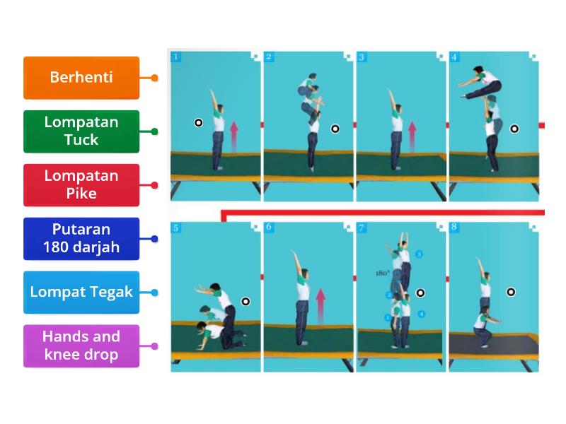 GIMNASTIK ASAS TINGKATAN 1 PDPR Labelled Diagram