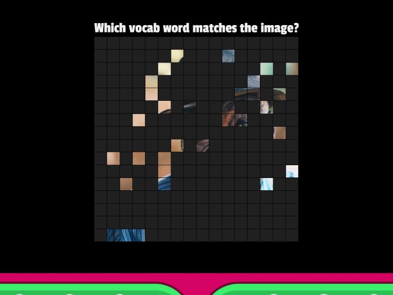 I RW Units 1 4 Vocab Picture Reveal Image Quiz