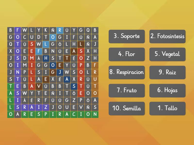 La Planta Y Sus Partes Wordsearch