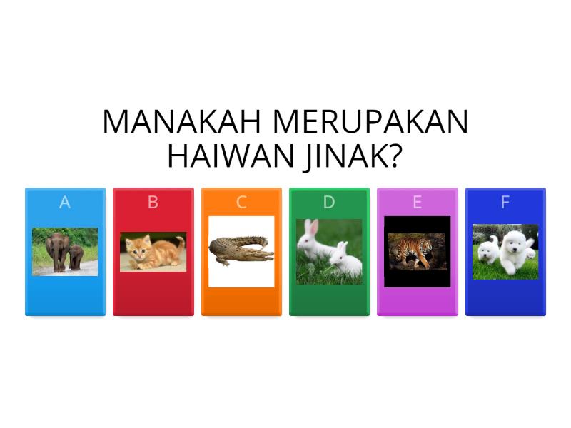 Haiwan Jinak Quiz