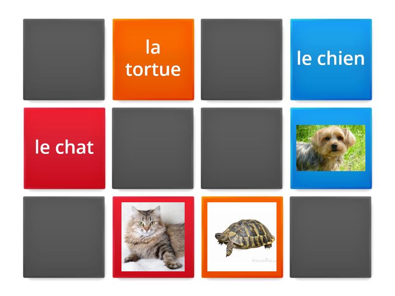 Animaux Matching Pairs