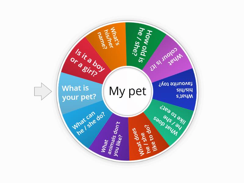 Talking About A Pet Spin The Wheel