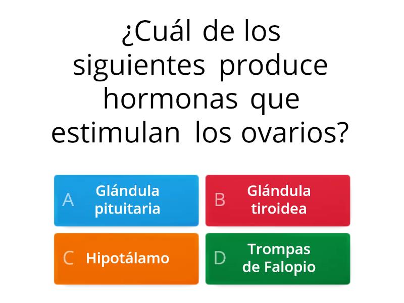 Partes Y Funciones Del Sistema Reproductor Femenino Quiz