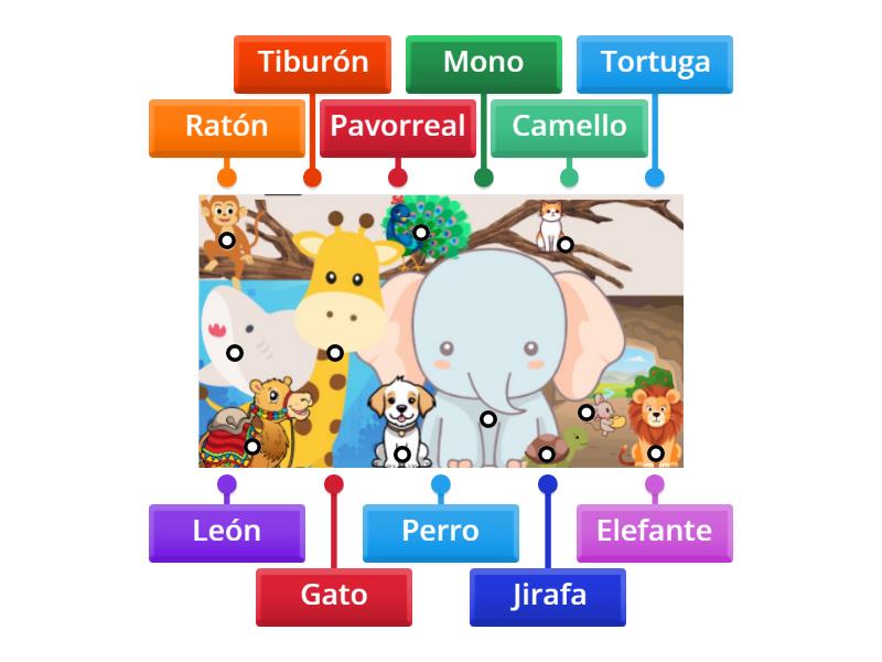 Caminito De La Escuela Labelled Diagram