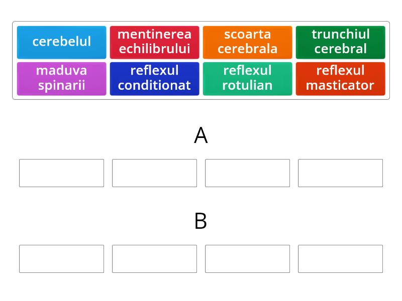 Biologie clasa a VII a فرز المجموعات