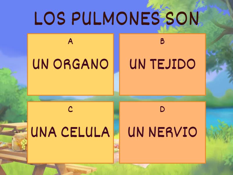 COMO CUIDAR EL SISTEMA RESPIRATORIO Quiz