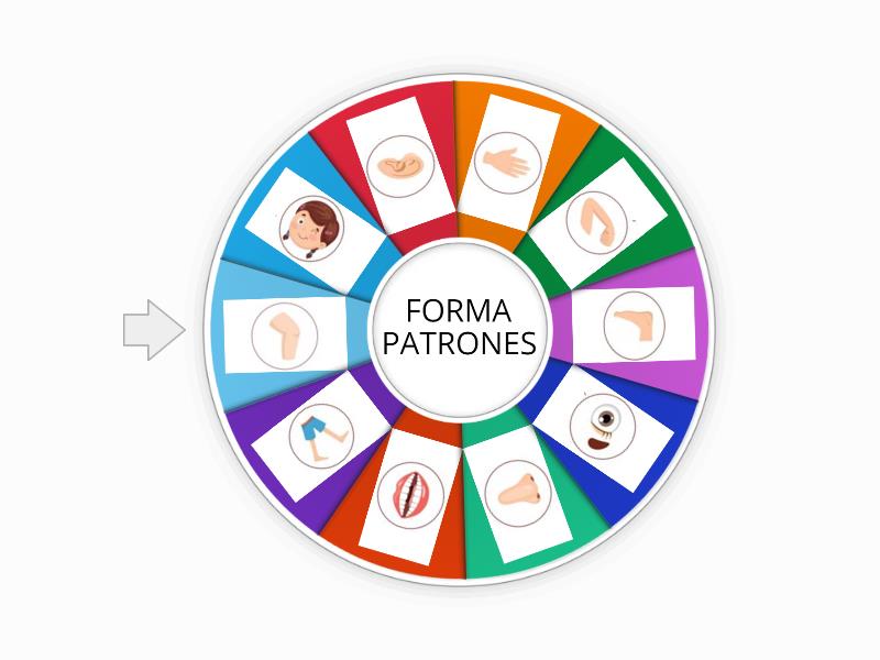 Partes Del Cuerpo Humano Random Wheel