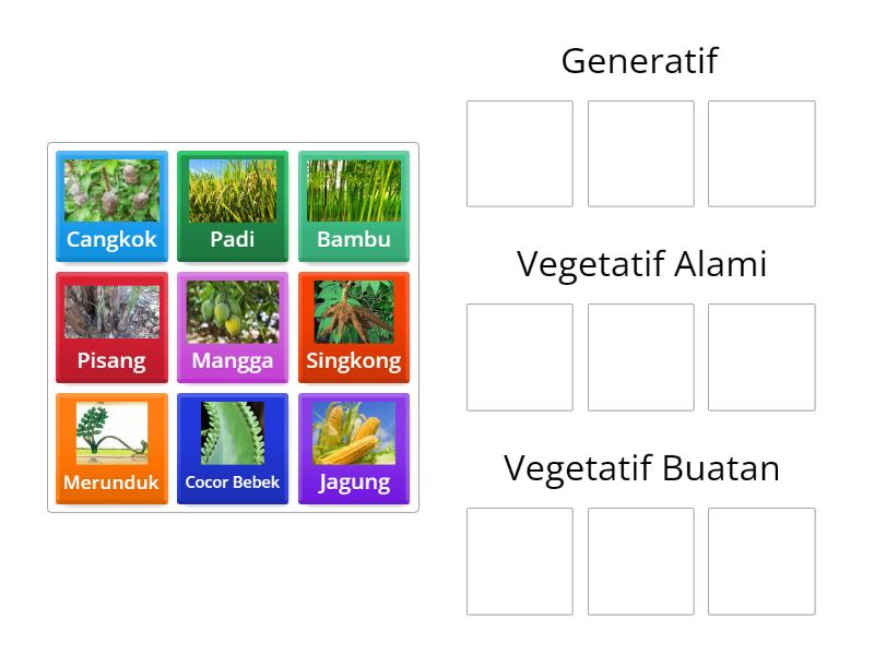 Pengelompokan Perkembangbiakan Tumbuhan Group Sort