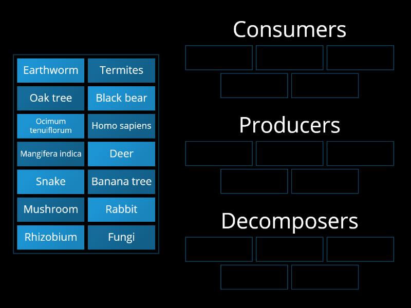 Producers Consumers And Decomposers Our Environment Vaibhav Kadav