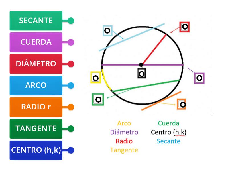 Elementos De Una Circunferencia Diagrama Con Etiquetas