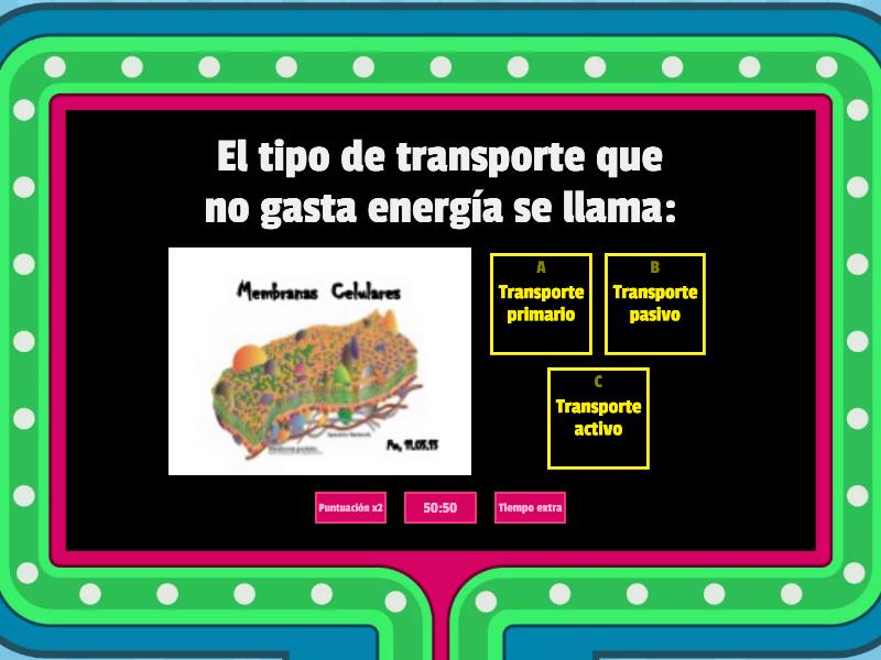 Transporte De Sustancias En Los Seres Vivos Concurso De Preguntas