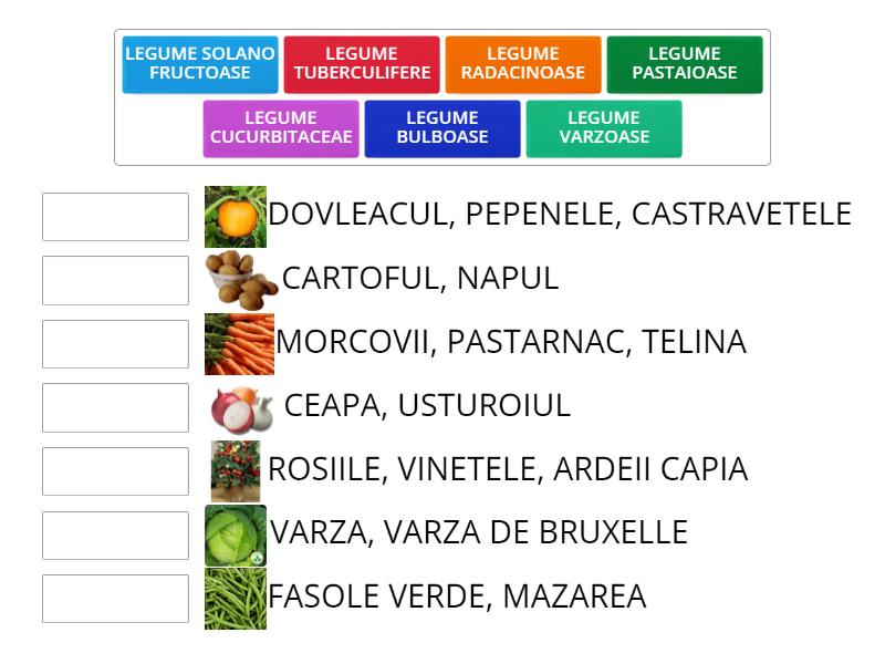 LEGUMELE Match Up