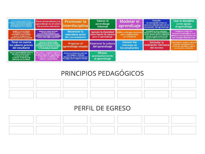 Principios Pedag Gicos Y Rasgos Del Perfil De Egreso Ordenar Por Grupo