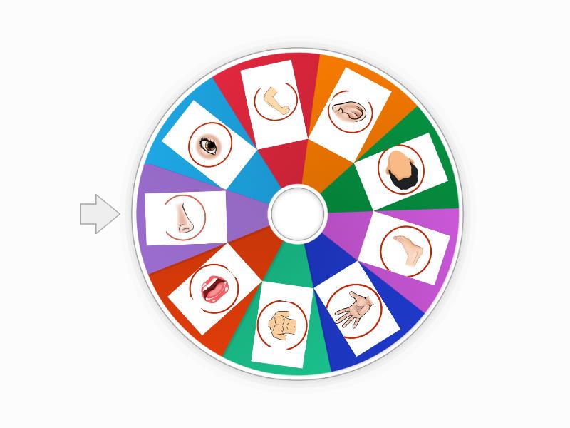 Ruleta Bingo De Las Partes Del Cuerpo Roda Rawak