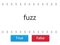 Floss Rule True or False