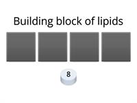 Carbs vs Lipids