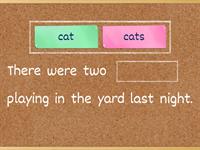 Singular and Plural Nouns