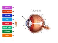 The Eye