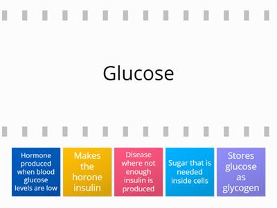 10. Blood sugar regulation key words