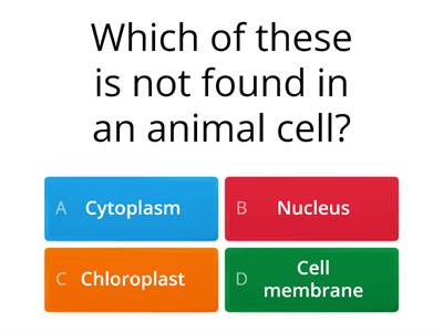 Cells quiz