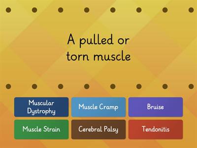Match Muscle Injuries