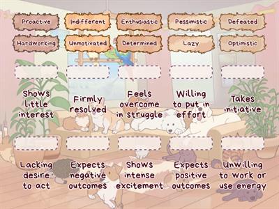 Mindset Sorting Challenge