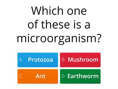 Microorganisms and their role as decomposers