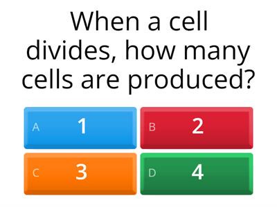 Cell division quiz