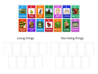 Living vs. non -living things grouping activity