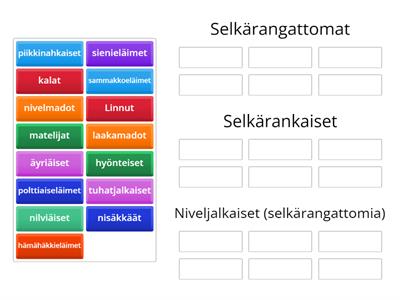 eläinten luokittelu