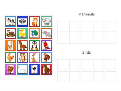 Mammals and Birds GE