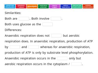 Discuss the similarities and differences between anaerobic and aerobic respirations.