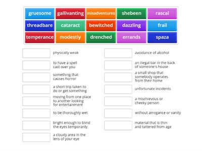 Vocab chapters 2 and 3 - Match Up