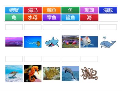 S1 Under the Sea: Matching the words (Hanzi) with the pictures