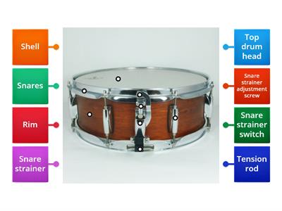 Snare Drum Anatomy