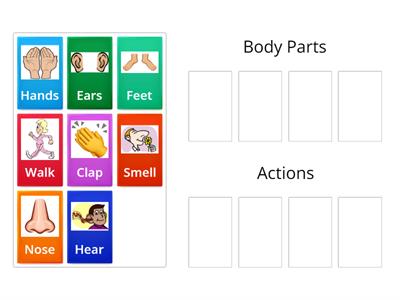 Body Parts and Actions