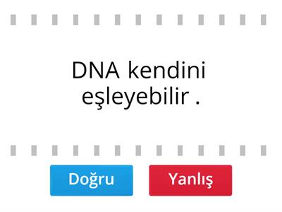 DNA ve Genetik Kod (D/Y Etkinliği)