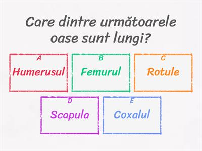 C5. Mișcarea