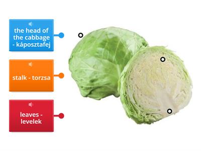 Cabbage and its relatives/Science Book 5